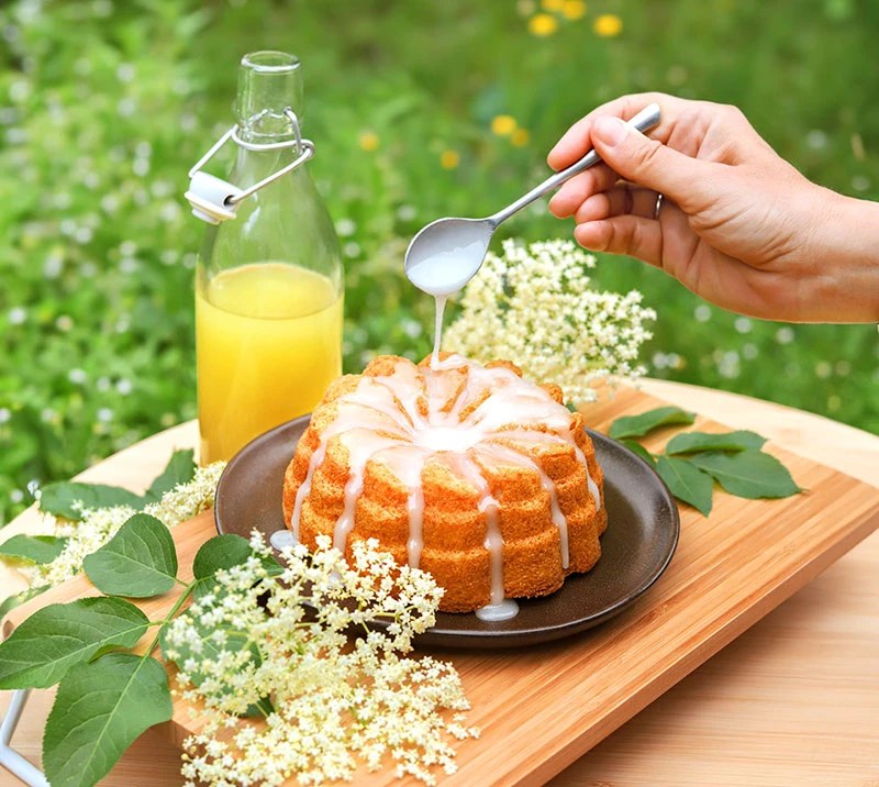 Сироп "FRUCTIS" Бузина 1,0 л — купить с доставкой в Петропавловске