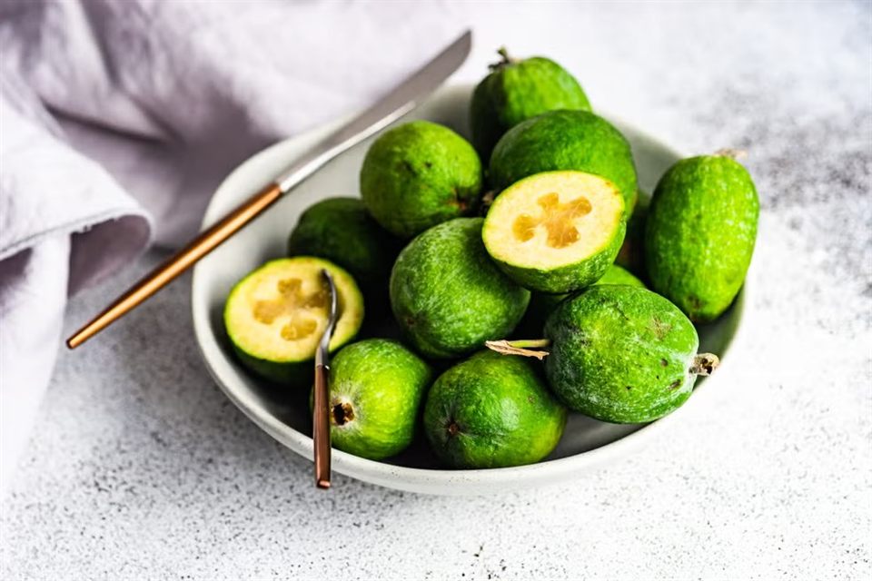 Сироп "FRUCTIS" Фейхоа 1,0 л — купить с доставкой в Петропавловске